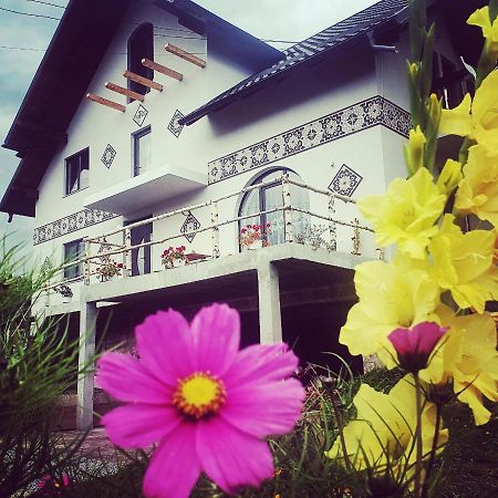 Villa Casa Aureliana Ciocanesti Exterior foto